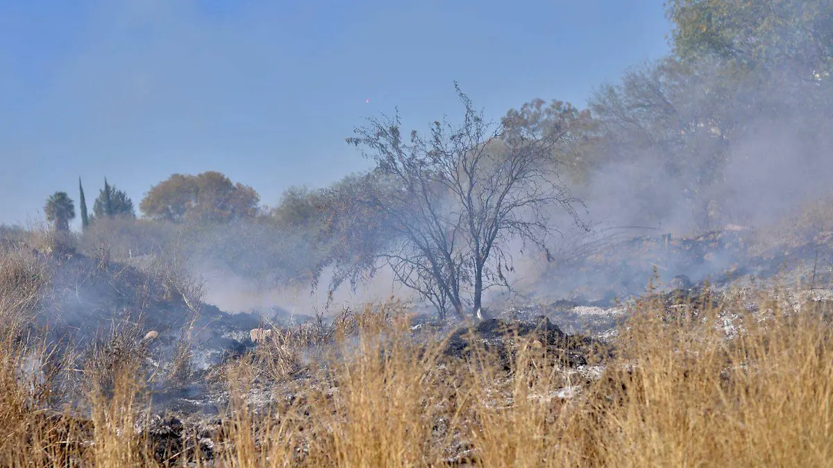 incendio forestal en terreno incendios siniestro quemazon 2